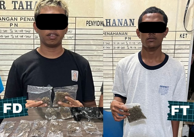 Dua pelaku pengedar ganja yang ditangkap aparat kepolisian